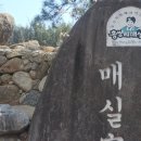 지에스25광양매화 | 2026 제25회 광양매화축제 근황 광양매화마을 내돈내산 후기 봄나들이 관광지 추천 광양매화축제 실시간...