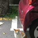 국채보상로152길 이미지