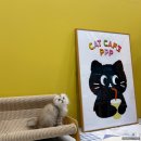 힐링 펫 카페 이미지