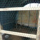 진군농장 이미지