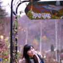 지우농원 이미지