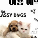 클래시독스 이미지