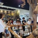 충청남도 태안군청소년수련관 이미지