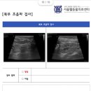 서울웰동물의료센터 | 20260416 일상기록_고양이 건강검진의 중요성