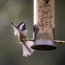 현대마트(주공4단지) 이미지