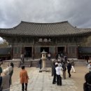 서인공원 | 천사들의 제국