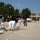 갈매초등학교 이미지