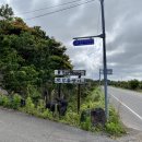 알루하우스A 이미지