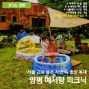 예서향