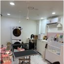 아르펫살롱 이미지