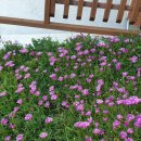 나로드림 이미지