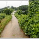 성송초등학교 이미지