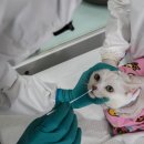 서울동물복지지원센터 동물병원(구로) 이미지