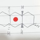 대칭점 이미지
