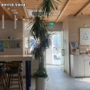 용이커피