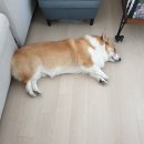 미네 이미지