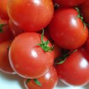 브니엘농장 이미지