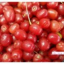 군일유리 이미지