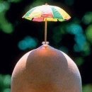 보고또보고 이미지