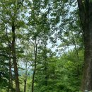 호명호수 관광안내소 이미지