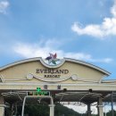 나무늘보,요정 | [용인 에버랜드] 8월 주말 에버랜드 후기