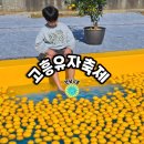 유자향기2 | 고흥유자축제 둘째날 후기 고흥가볼만한곳(주차,프로그램)