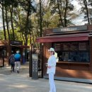 서울 헌릉과 인릉 이미지