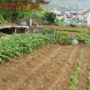 구암동310 이미지