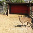 (버스)이충동현대아파트 이미지