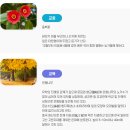 함평고등학교 | (일반고) 함평고등학교 2024 신입생 입학안내, 학교안내​​