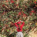 정문호스텔 | 세비야 숙소 추천｜대성당 1분 거리 TOC 호스텔 4박 후기 (위치 최고)