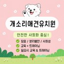명애견센터 | 마포구 애견유치원 찾는다면? 망원동 개소리애견유치원 체험등원 안내