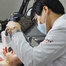 휴먼피부과 이미지