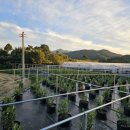 상부농장(2농장) 이미지