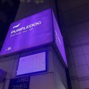 화이트 독 | [송파] 분위기 좋은 송파 와인바 퍼플독 송파본점 방문 후기
