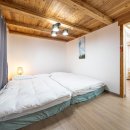 양양 스테이나무 이미지