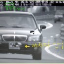 은혜갚은 까치...? 이미지