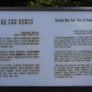청실문구