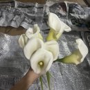 렛츠(Lets)헤어 | [웨촬#3] 웨딩촬영 후기/ 대구 최초 컨셉/ 로로 스튜디오 /렛츠 메이크업/ 카단 부케/ 셀프부케