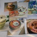 반려반상 이미지