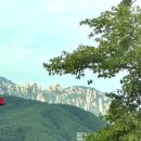 선사숯불닭갈비 | 친구야 가평 금강산 숯불닭갈비 후기라니 안 가볼 수 없겠어!