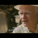 창문 넘어 도망친 100세 노인 이미지