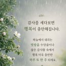 감사를 세다 보면 이미지