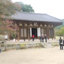 금구약방 Daum카페