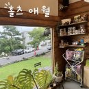 크로와상제주빵집 | 제주 애월 빵집, 홀츠 애월 내돈내산 솔직후기