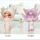 드플로레