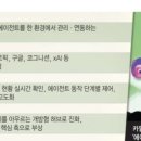엑스톤 글로벌