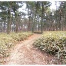 기장문화원 이미지