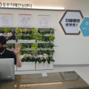 동부치매안심센터 이미지