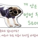 힐링페츠